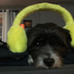 Meet your Posher, Kris